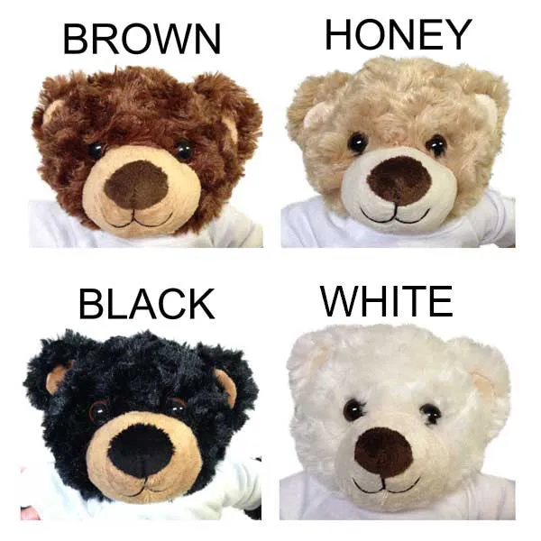 Big Sister Personalized Teddy Bear Gift Set - 13" Vera Bear