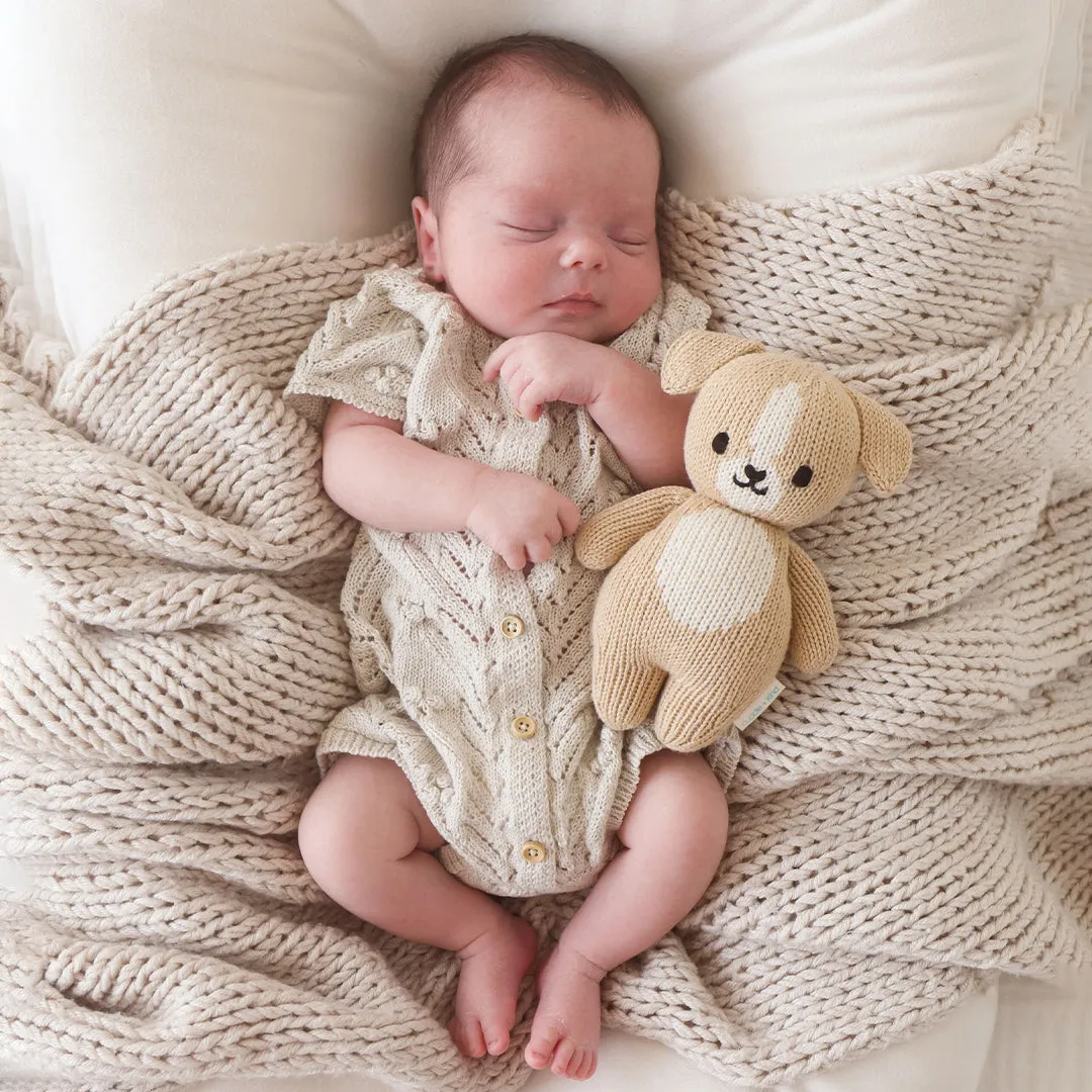 CUDDLE KIND BABY ANIMAL | PUPPY
