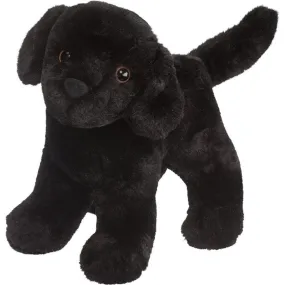 Douglas Abraham Black Lab
