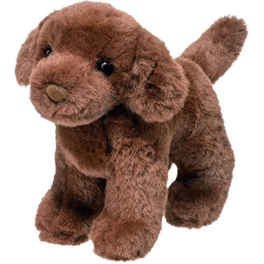 Douglas Sylvia Chocolate Lab