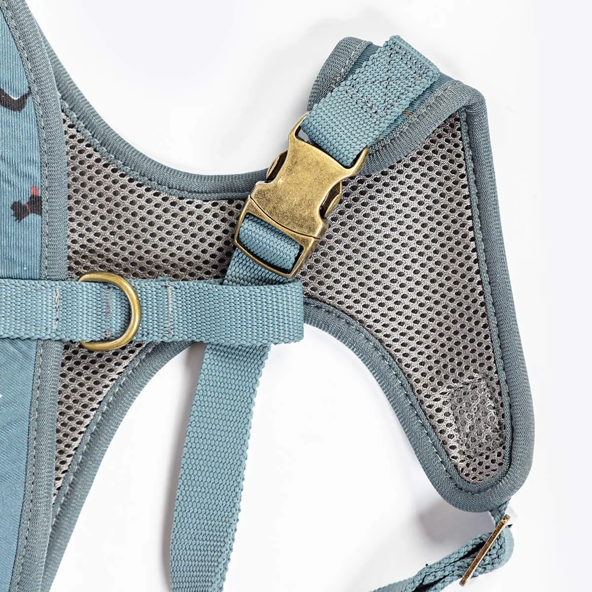 FatFace Marching Dogs Dog Collar/Lead & Harness