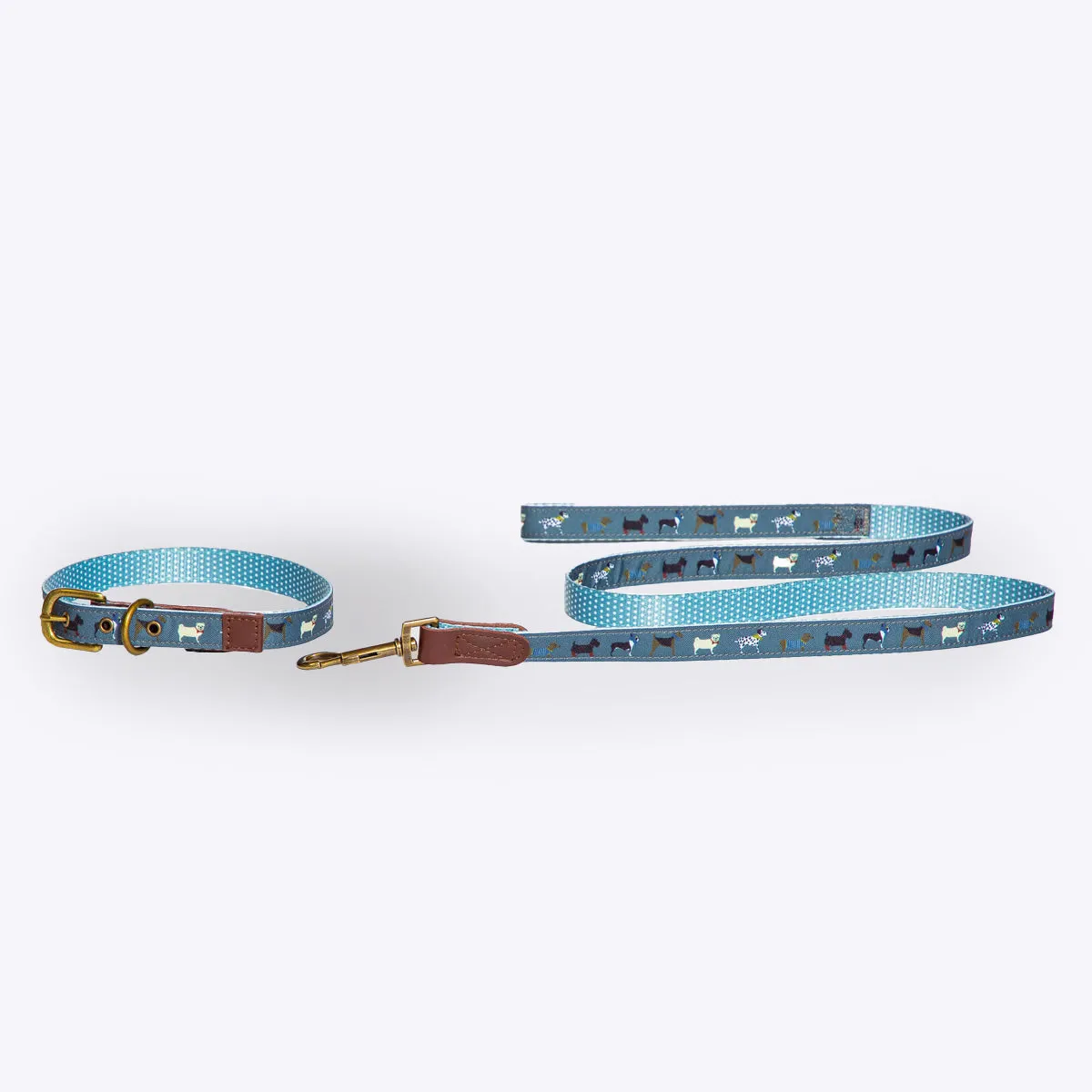 FatFace Marching Dogs Dog Collar/Lead & Harness