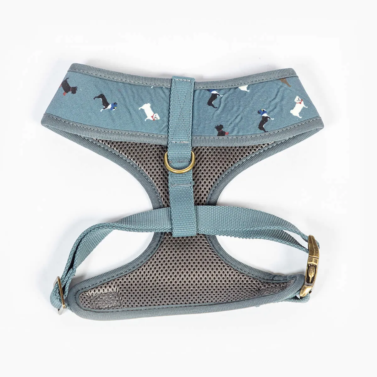 FatFace Marching Dogs Dog Collar/Lead & Harness