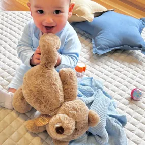 Large Teddy Bears