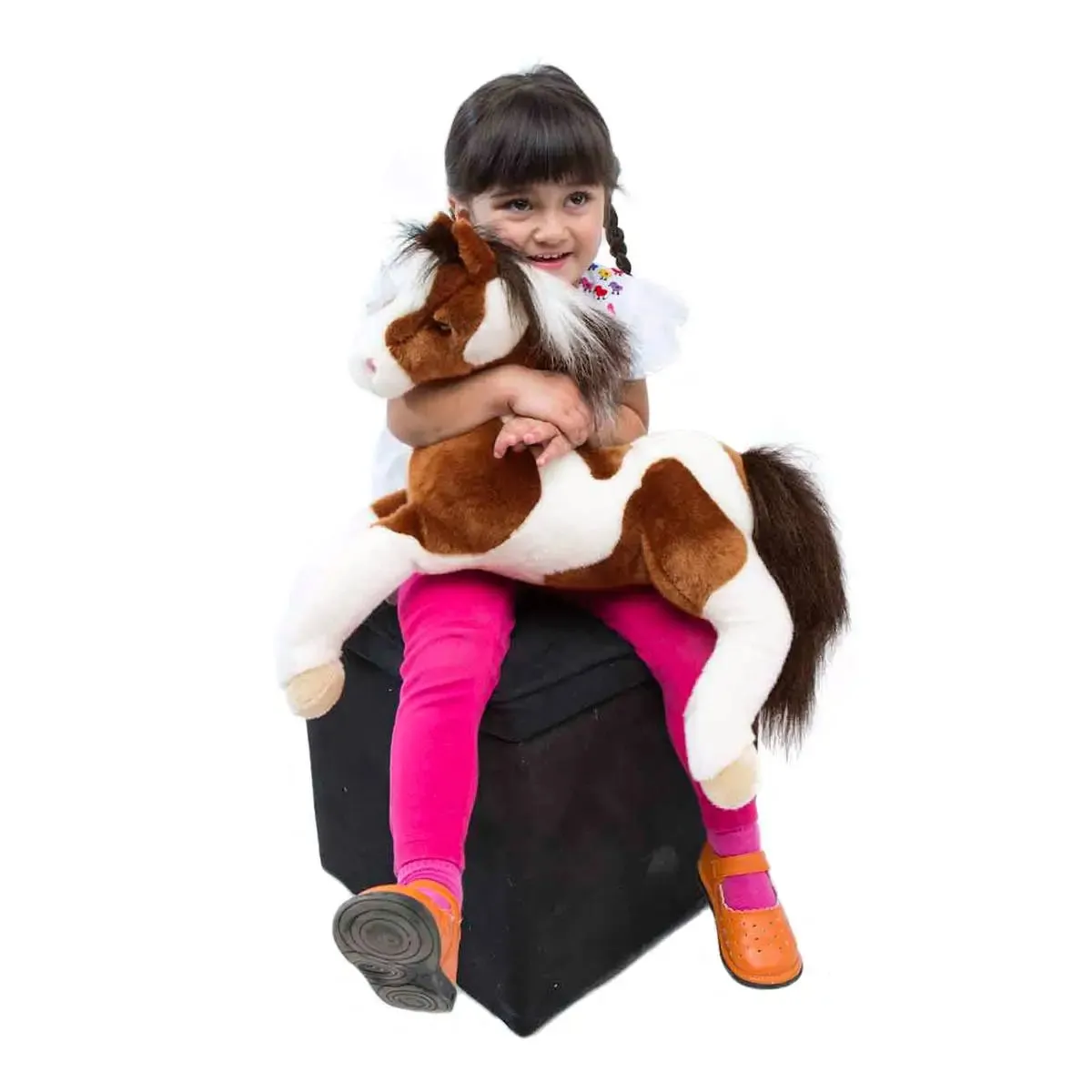 Natches Paint Horse