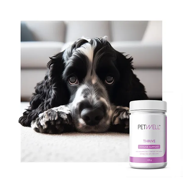 PetWell THRIVE - Immune Support
